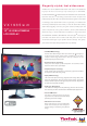 Viewsonic VS11307 Specification Sheet