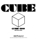 Roland Cube-100 Instructions Manual