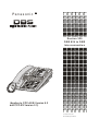 Panasonic DBS 824 Manual