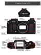 Canon F1-N Brochure & Specs