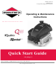 Briggs & Stratton Q45 Quick Start Manual