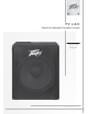 Peavey PV 118 D Operating Manual