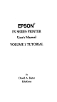 Epson FX Series User Manual
