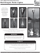 Red Dragon patio light Owner's Manual