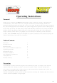 Best Automobile security system Operating Instructions Manual