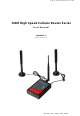 Geneko GWR High Speed Router Series User Manual