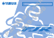 Yamaha FJR13AY(C) Owner's Manual