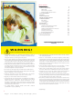Britax Hippo Instruction Booklet