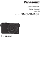 Panasonic Lumix DMC-GM1SK Quick Manual