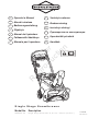 Briggs & Stratton 1696252-00 Operator's Manual