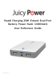 Juicy power AP4-0003A User Reference Manual