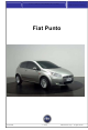 Fiat Punto 2004 Training Manual