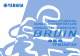 Yamaha BRUIN 350 YFM350FAS Owner's Manual