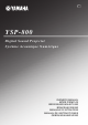 Yamaha YSP-800 Owner's Manual