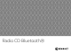 Renault Radio CD Bluetooth Manual