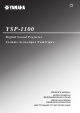 Yamaha YSP-1100 Owner's Manual