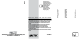Imetec M3101 Instructions For Use Manual