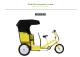IPS Safety Trike Transporter Manual