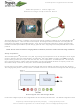 Paper Battery PowerResponder Quick Start Manual