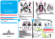 Flycker Vision-260 User Manual