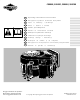 Briggs & Stratton 290000 Operating & Maintenance Instructions