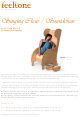 FEELTONE Singing Chair Manual