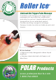 Polar Electro Roller Ice Series Directions For Use