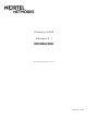 Nortel Passport 4400 Series Introduction Manual