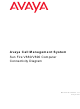Avaya Sun Fire V880 Connectivity Diagram