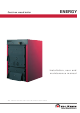EdilKamin ENERGY Series Installation, User And Maintenance Manual