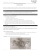 Lucci LEDlux 000118 Installation Instructions