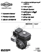 Briggs & Stratton Vanguard 245400 Operator's Manual