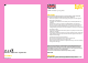 Festive Lights BL123 Quick Start Manual