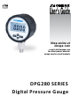 Omega Engineering DPG280 Series User Manual