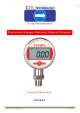 CeYeKo PDIS01 User Manual