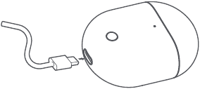 Type-C Wired Charging