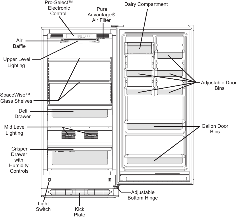 Understanding Features and Terms