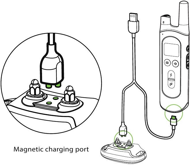 Charge the Collar and Remote