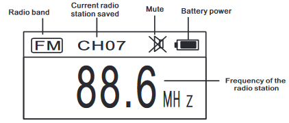 Displaying on the Radio Screen