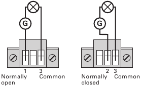 Figure 26. Example of Standard Relay Port Connections with lamp.