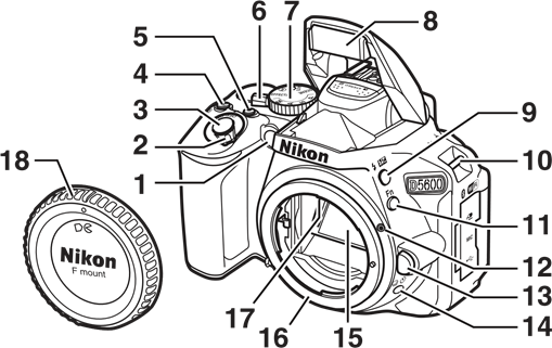 The Camera Body Step 1