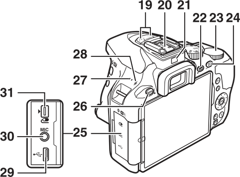 The Camera Body Step 2