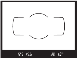 Viewfinder in focus
