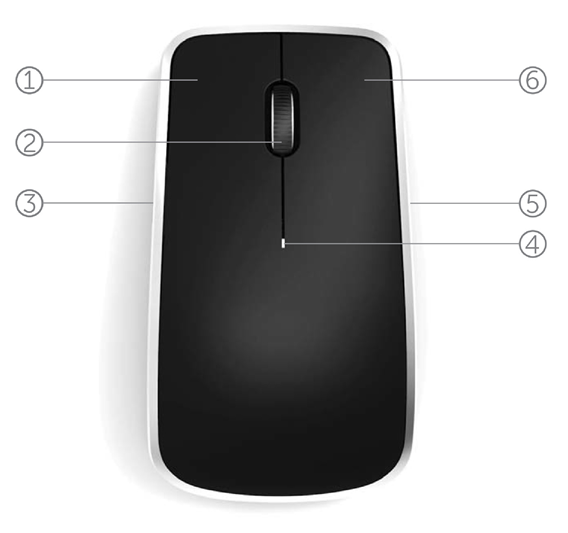 Mouse Top View