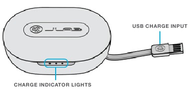 CHARGING CASE Overview