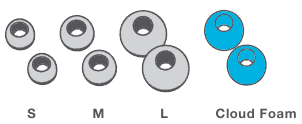 EARTIPS Overview