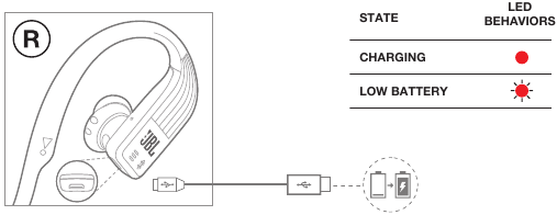 Charging Port & Battery Status