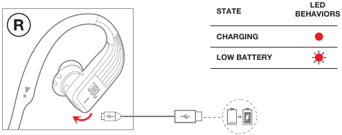 Charging Port & Battery Status