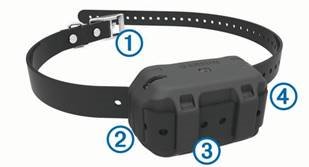 Garmin Sport Pro Dog Training Collar Manual | ManualsLib