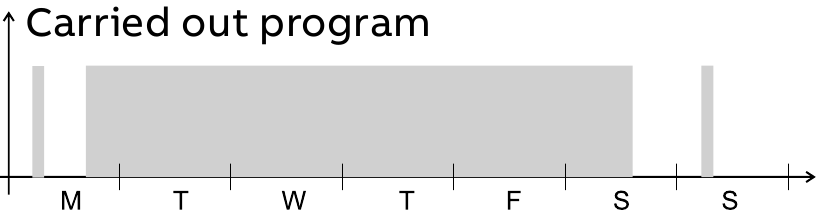 Holiday program - Carried out program